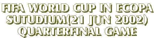 FIFA WORLD CUP IN ECOPA
SUTUDIUM(21 JtN 2002)
QUARTERFINAL GAME